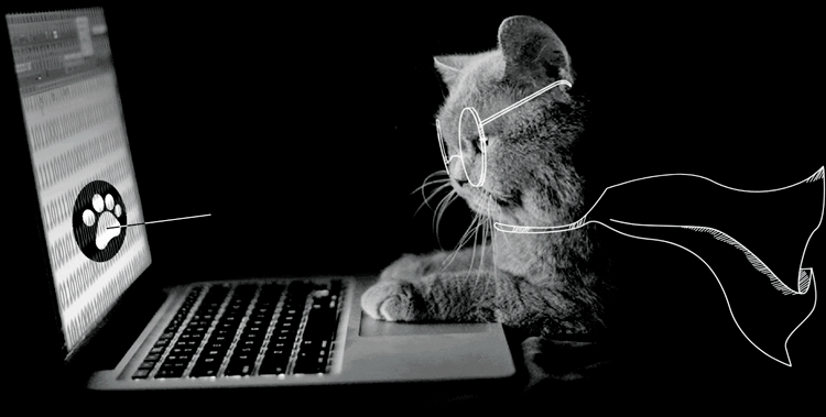 суперкотик.gif